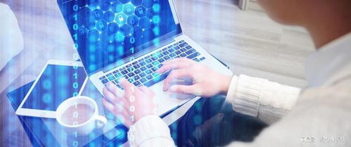 網(wǎng)絡(luò)工程 冷門專業(yè)的現(xiàn)實(shí)挑戰(zhàn)與性別迷思